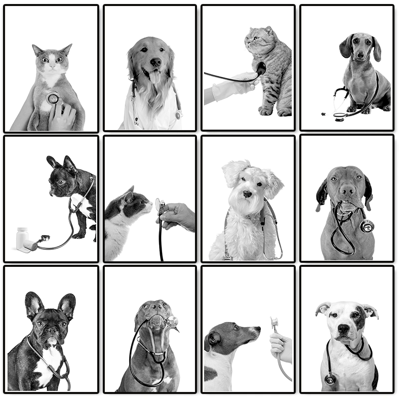 Stethoscope - Dierenarts Dierenkliniek Poster Honden Katten met