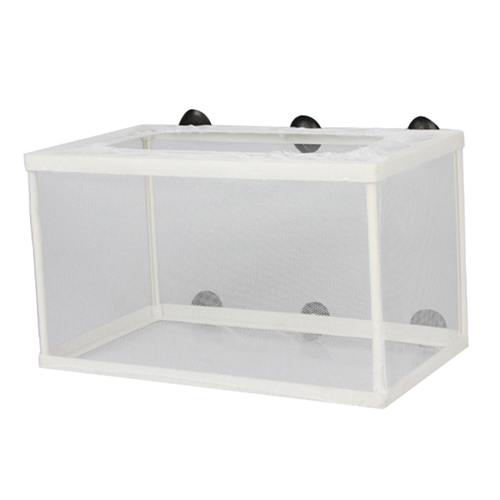 Vis Fokker Box Scheiding Juven - Lab Incubator recensie en prijs