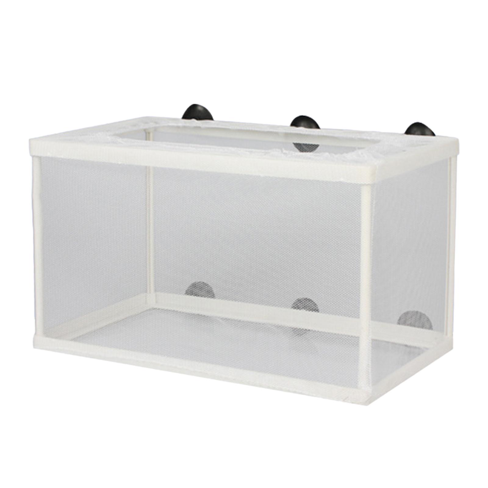 Vis Fokker Box Scheiding Juven - Lab Incubator recensie en prijs