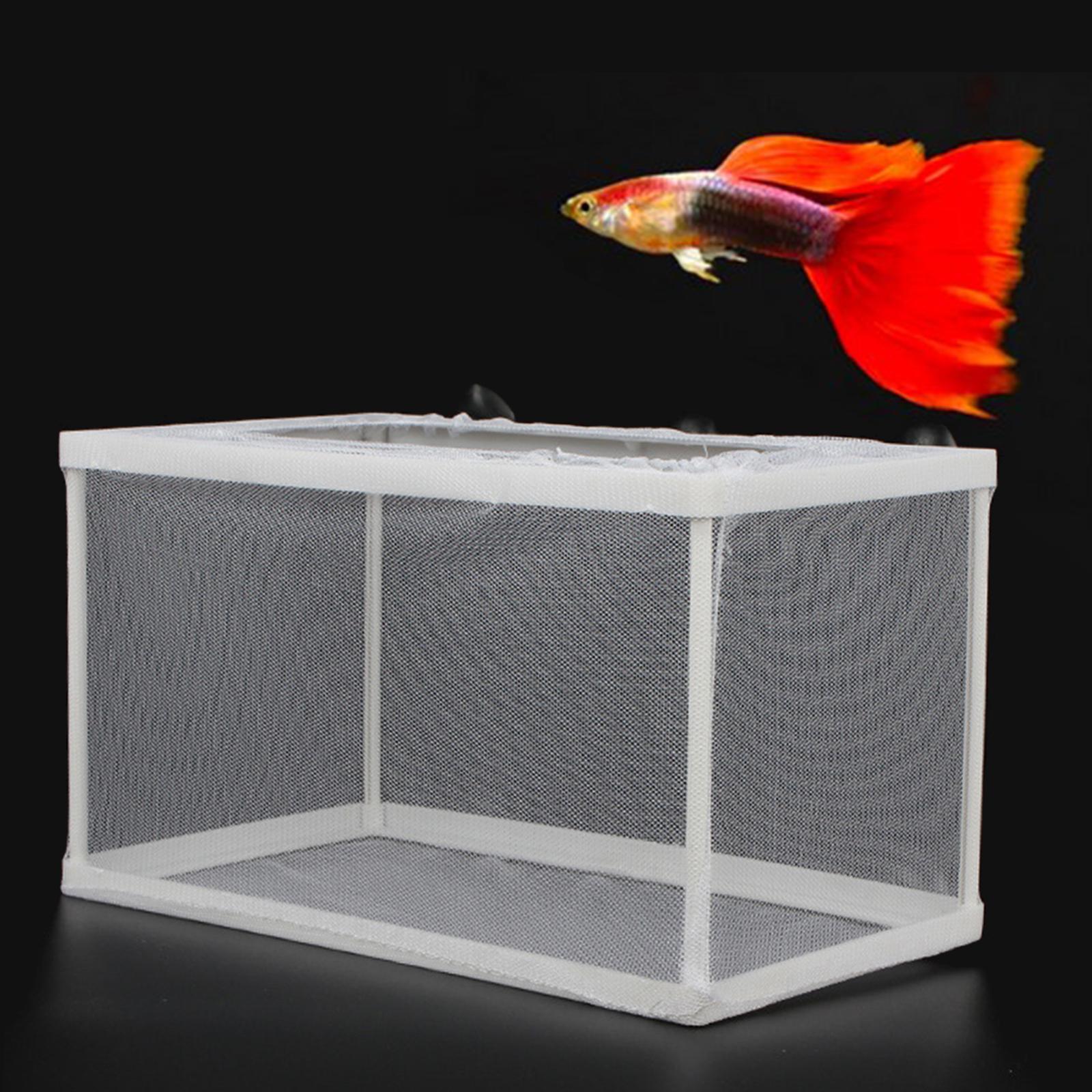 Vis Fokker Box Scheiding Juven - Lab Incubator recensie en prijs