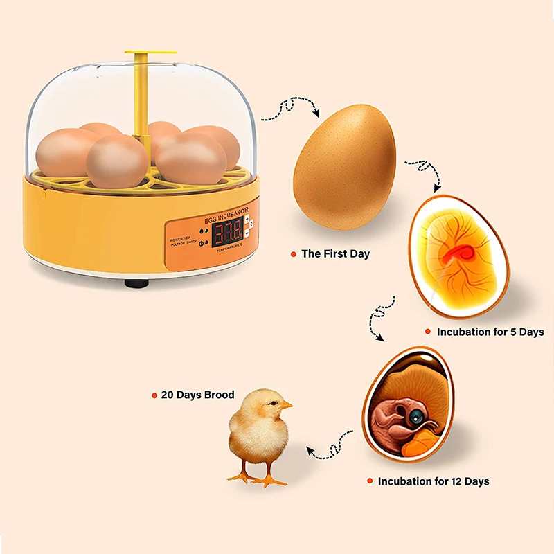 Broedmachine Kip Eend Gans 6 E - Lab Incubator recensie en prijs