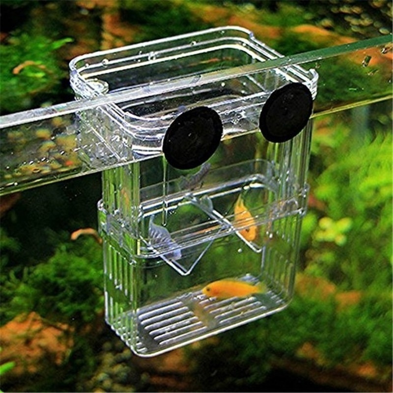 Multifunctioneel Visaquarium H - Lab Incubator recensie en prijs