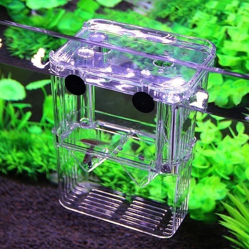 Multifunctioneel Visaquarium H - Lab Incubator recensie en prijs