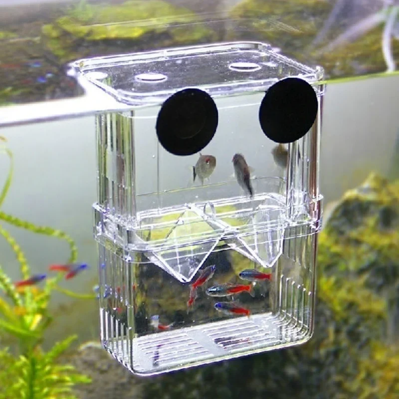 Multifunctioneel visaquarium,  - Lab Incubator recensie en prijs