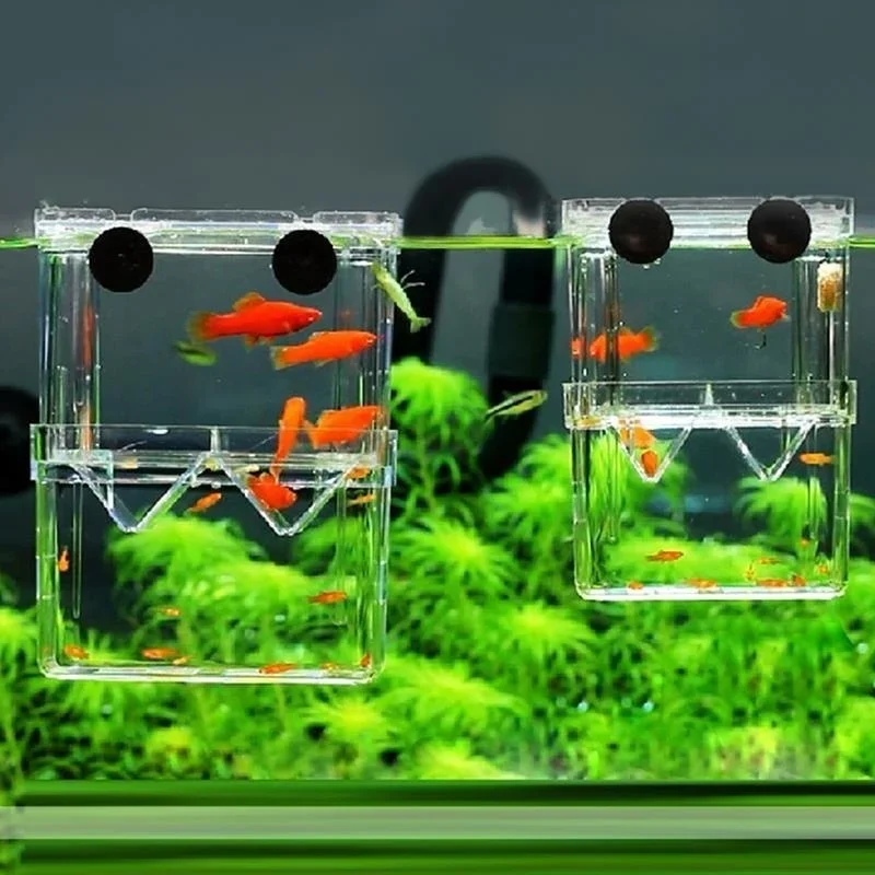 Multifunctioneel visaquarium,  - Lab Incubator recensie en prijs