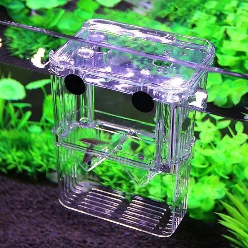 Multifunctioneel visaquarium,  - Lab Incubator recensie en prijs